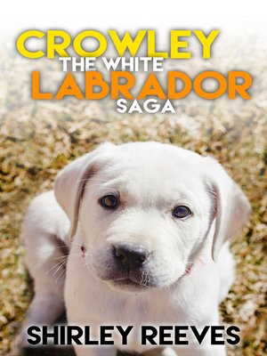 cover image of Dog Stories